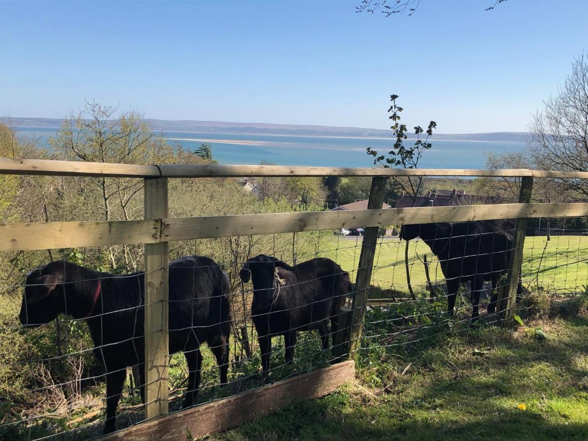 拉内利Bronllys Farm Coastal Self-Catering公寓 外观 照片